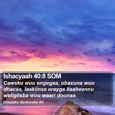Ishacyaah 40:8 SOM Bible Verse Image