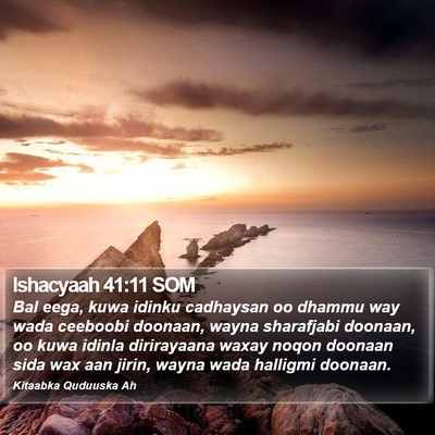 Ishacyaah 41:11 SOM Bible Verse Image