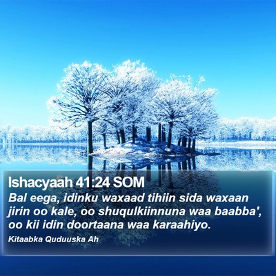 Ishacyaah 41:24 SOM Bible Verse Image