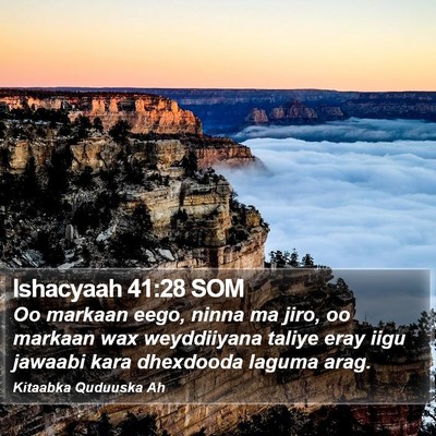 Ishacyaah 41:28 SOM Bible Verse Image