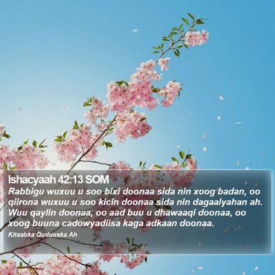 Ishacyaah 42:13 SOM Bible Verse Image
