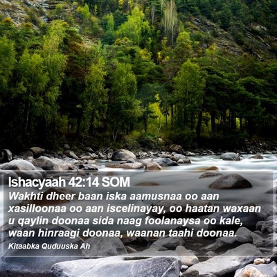 Ishacyaah 42:14 SOM Bible Verse Image