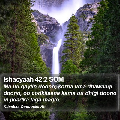 Ishacyaah 42:2 SOM Bible Verse Image