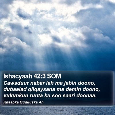 Ishacyaah 42:3 SOM Bible Verse Image