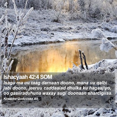 Ishacyaah 42:4 SOM Bible Verse Image