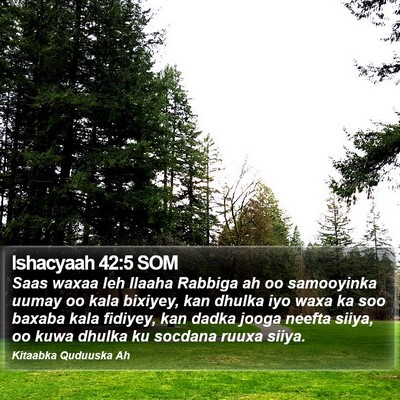Ishacyaah 42:5 SOM Bible Verse Image
