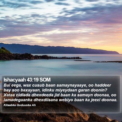 Ishacyaah 43:19 SOM Bible Verse Image