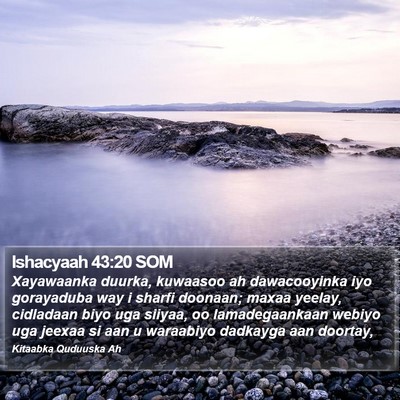 Ishacyaah 43:20 SOM Bible Verse Image