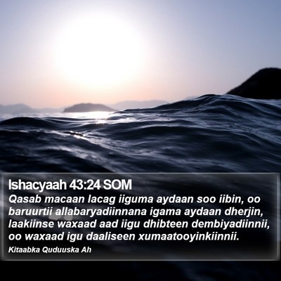 Ishacyaah 43:24 SOM Bible Verse Image
