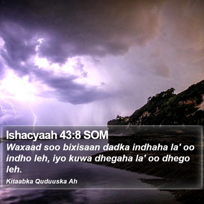 Ishacyaah 43:8 SOM Bible Verse Image