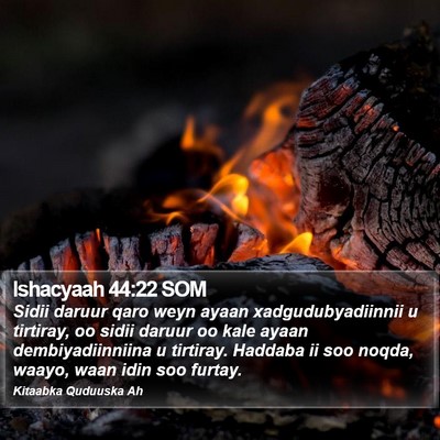 Ishacyaah 44:22 SOM Bible Verse Image