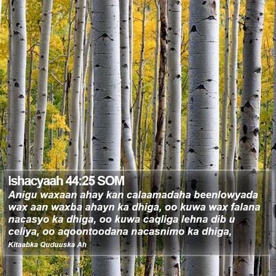 Ishacyaah 44:25 SOM Bible Verse Image