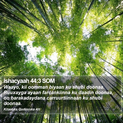 Ishacyaah 44:3 SOM Bible Verse Image