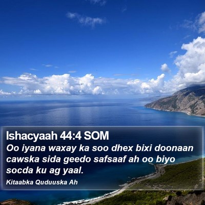 Ishacyaah 44:4 SOM Bible Verse Image