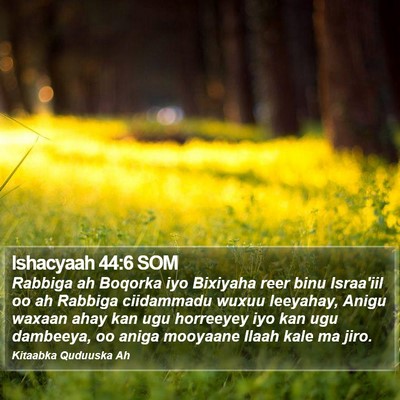 Ishacyaah 44:6 SOM Bible Verse Image