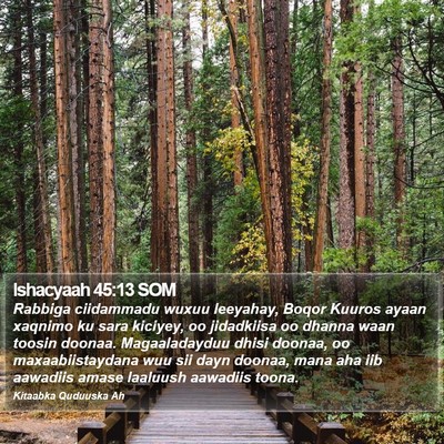 Ishacyaah 45:13 SOM Bible Verse Image