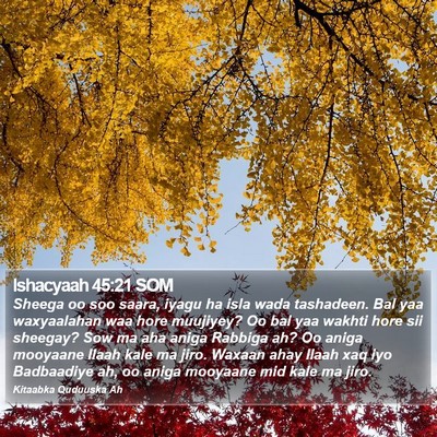 Ishacyaah 45:21 SOM Bible Verse Image