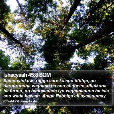 Ishacyaah 45:8 SOM Bible Verse Image