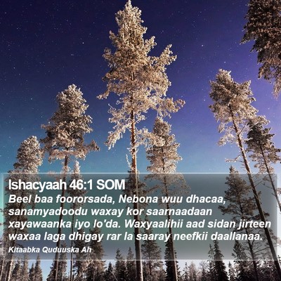 Ishacyaah 46:1 SOM Bible Verse Image