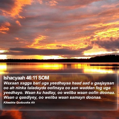 Ishacyaah 46:11 SOM Bible Verse Image