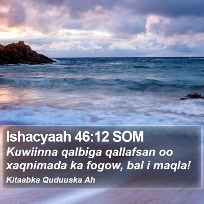 Ishacyaah 46:12 SOM Bible Verse Image