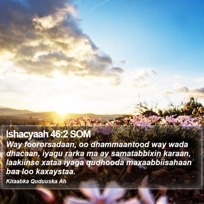 Ishacyaah 46:2 SOM Bible Verse Image