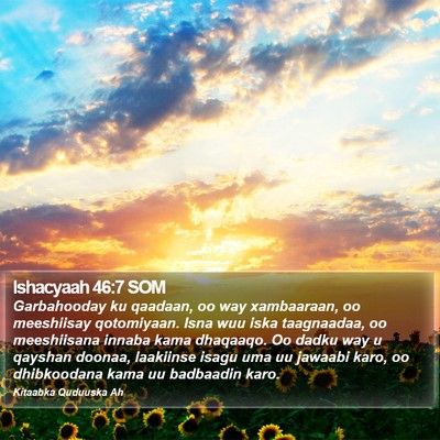 Ishacyaah 46:7 SOM Bible Verse Image