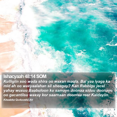 Ishacyaah 48:14 SOM Bible Verse Image