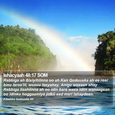 Ishacyaah 48:17 SOM Bible Verse Image