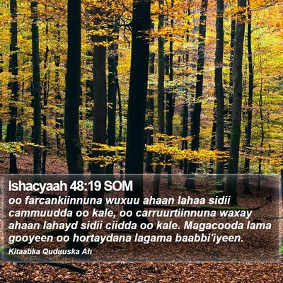 Ishacyaah 48:19 SOM Bible Verse Image