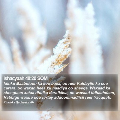 Ishacyaah 48:20 SOM Bible Verse Image