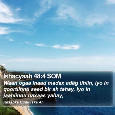Ishacyaah 48:4 SOM Bible Verse Image