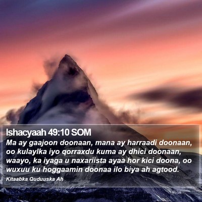 Ishacyaah 49:10 SOM Bible Verse Image