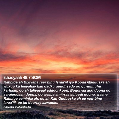 Ishacyaah 49:7 SOM Bible Verse Image