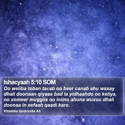 Ishacyaah 5:10 SOM Bible Verse Image