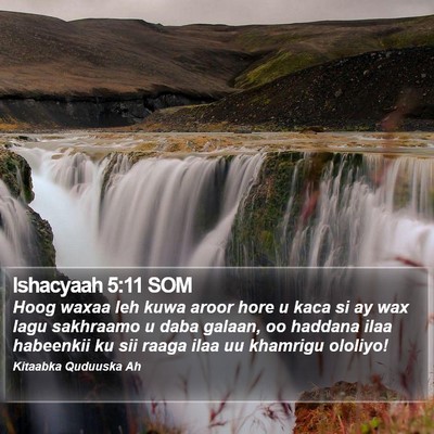 Ishacyaah 5:11 SOM Bible Verse Image