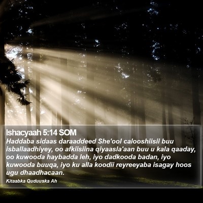 Ishacyaah 5:14 SOM Bible Verse Image