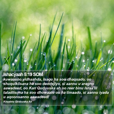Ishacyaah 5:19 SOM Bible Verse Image