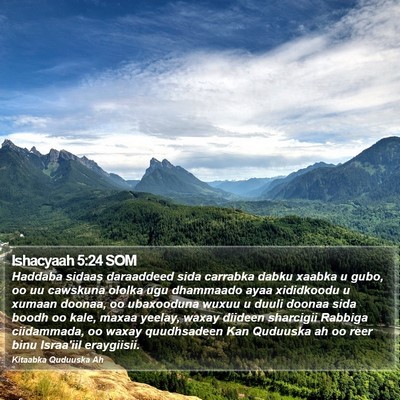 Ishacyaah 5:24 SOM Bible Verse Image