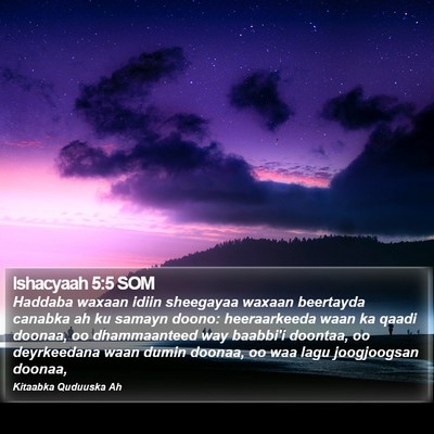 Ishacyaah 5:5 SOM Bible Verse Image