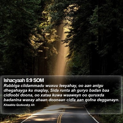 Ishacyaah 5:9 SOM Bible Verse Image