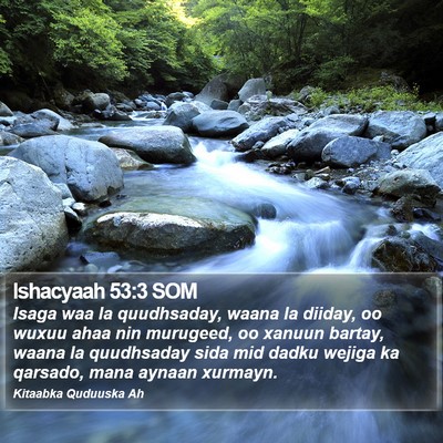 Ishacyaah 53:3 SOM Bible Verse Image