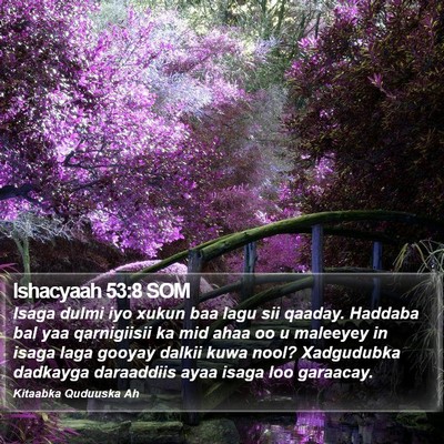 Ishacyaah 53:8 SOM Bible Verse Image
