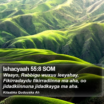 Ishacyaah 55:8 SOM Bible Verse Image