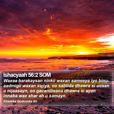 Ishacyaah 56:2 SOM Bible Verse Image