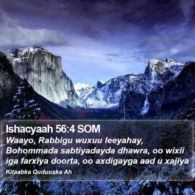 Ishacyaah 56:4 SOM Bible Verse Image