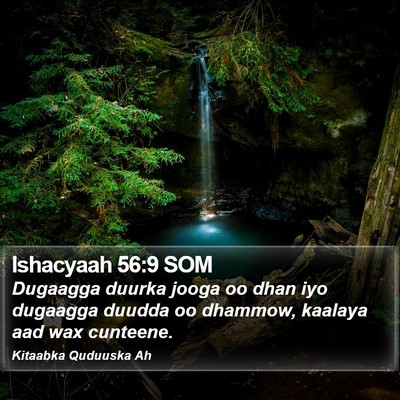 Ishacyaah 56:9 SOM Bible Verse Image
