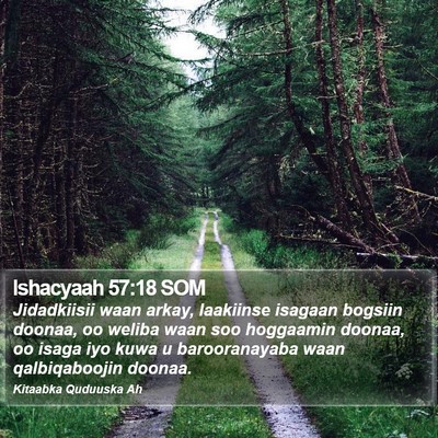 Ishacyaah 57:18 SOM Bible Verse Image