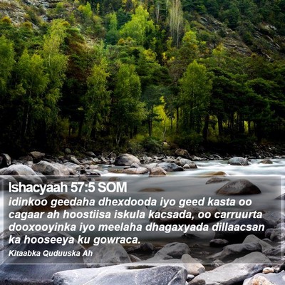 Ishacyaah 57:5 SOM Bible Verse Image