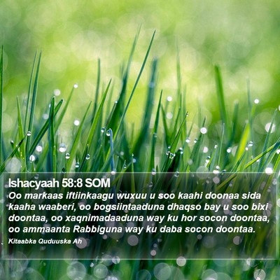 Ishacyaah 58:8 SOM Bible Verse Image